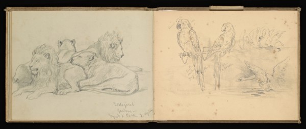 Sketchbook, Preziosi, Amadeo, 1816-1882, pencil, gray wash, white heightening, 1875, The sketchbook by Maltese artist Preziosi