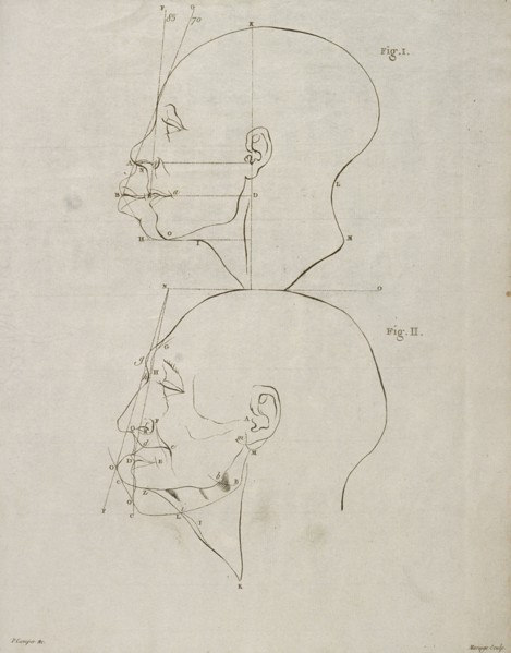 Tab. VI, Dissertation sur les variétés naturelles qui caractérisent la physionomie des hommes des divers climats