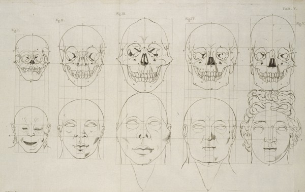 Tab. V, Dissertation sur les variétés naturelles qui caractérisent la physionomie des hommes des divers climats