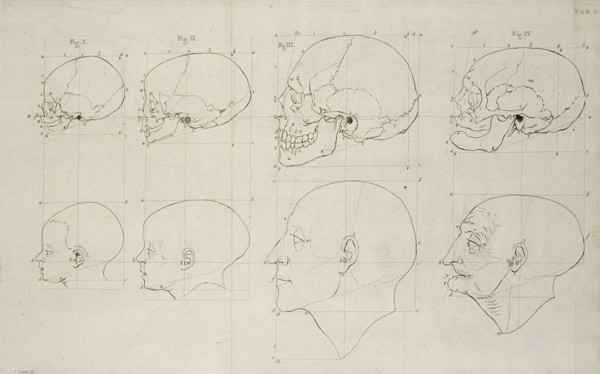 Tab. IV, Dissertation sur les variétés naturelles qui caractérisent la physionomie des hommes des divers climats