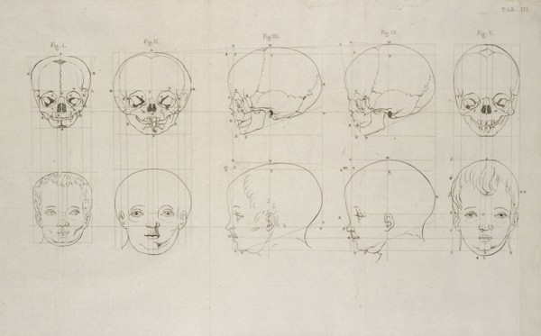 Tab. III, Dissertation sur les variétés naturelles qui caractérisent la physionomie des hommes des divers climats