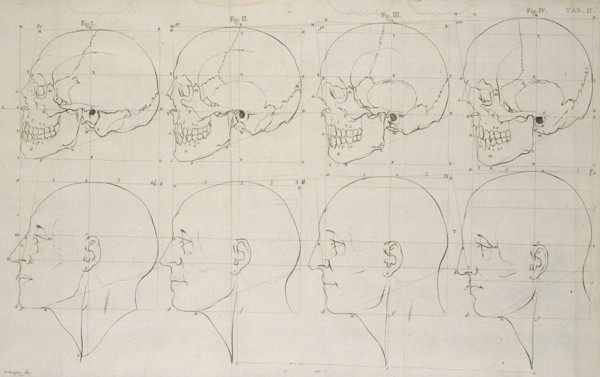 Tab. II, Dissertation sur les variétés naturelles qui caractérisent la physionomie des hommes des divers climats