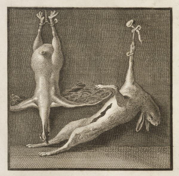 Plate 57, detail of top left, Delle antichità di Ercolano, Baiardi, Ottavio Antonio, 1694-1764, Engraving, c. 1757-1792