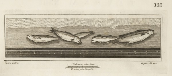 Tavola XXIII, Delle antichità di Ercolano, Baiardi, Ottavio Antonio, 1694-1764, Engraving, 1757-1792, Plate 23