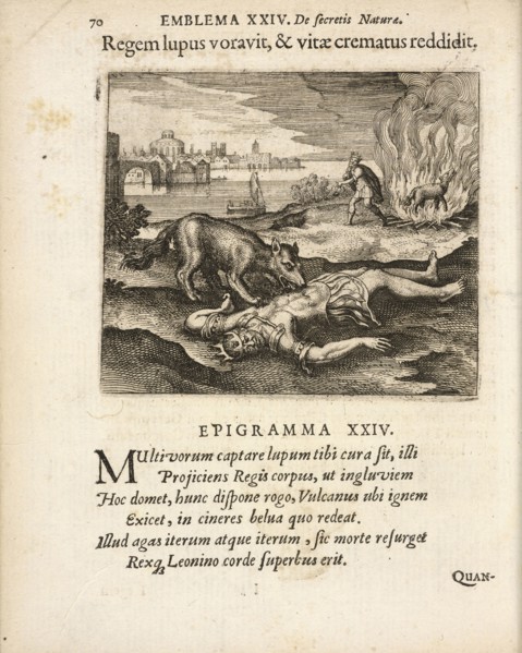 Emblema XXIV: Regem lupus voravit, and vitae crematus reddidit, Michaelis Majeri, Secretioris naturae secretorum scrutinium