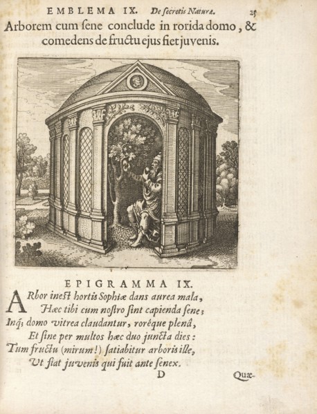 Emblema IX: Arborem cum fene concludein rorida domo, and comedens de fructu ejus fiet juvenis. Michaelis Majeri, Secretioris