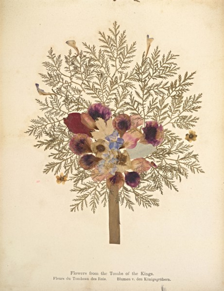 Album: flowers and pictures of the Holy Land, Boulos Meo, 1890s