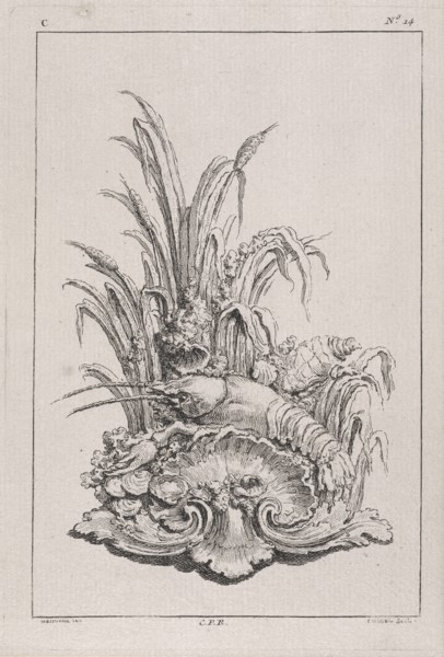 Plate C14 from the Livre de légumes inventées et dessinées par J. Me.r, Chedel, Pierre Quentin, 1705-1763, Huquier, Gabriel