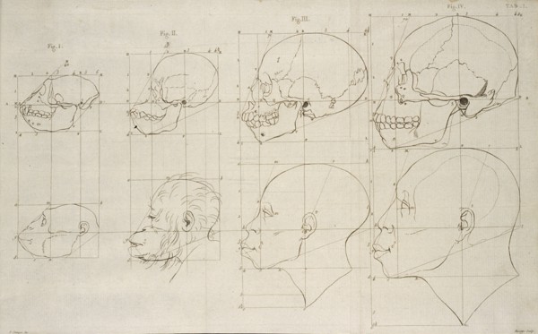 Tab. I, Dissertation sur les variétés naturelles qui caractérisent la physionomie des hommes des divers climats et des différens