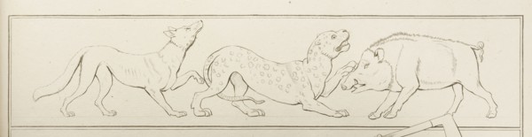 Plate 31. Collection of engravings from ancient vases mostly of pure Greek workmanship discovered in sepulchres in the kingdom