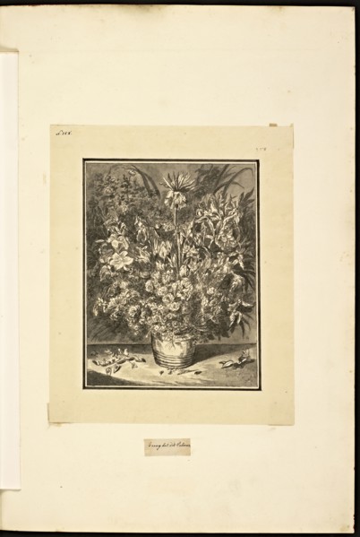 Catalogue raisonne et figure de ses tableaux, La Galerie Électorale de Düsseldorf, Pigage, Nicolas de, 1723-1796, Red crayon