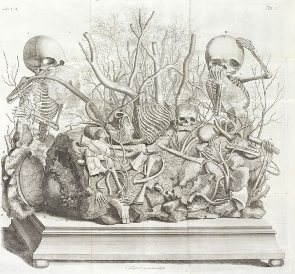 Diorama of fetal skeletons arranged with various internal organs, Frederici Ruyschii anatomes and botanices professoris