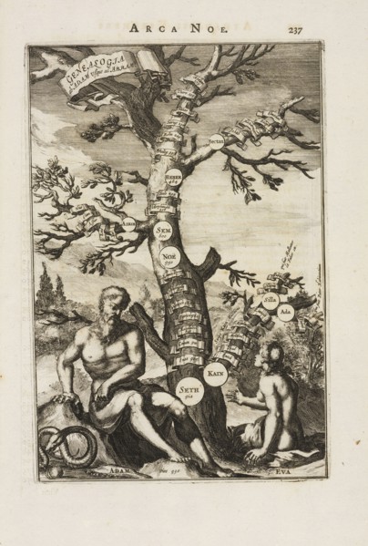 Genealogia ab Adam usque ad Abram, Athanasii Kircheri è Soc. Jesu Arca Noë, in tres libros digesta: quorum I, De rebus quae ante