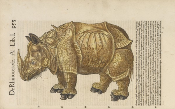 De rhinocerote, Historiæ animalivm, Gesner, Konrad, 1516-1565, Letterpress, woodcut, hand-colored, 1551