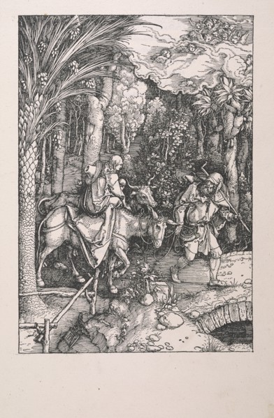 Epitome in divae parthenices Mariae historiam ab Alberto Durero Norico per figuras digestam cum versibus annexis Chelidonii