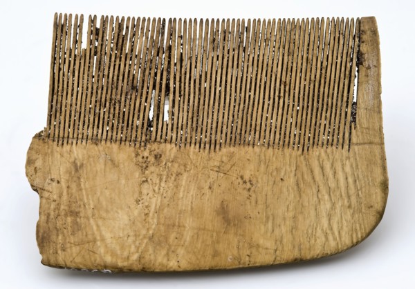 Fragment ivory or leg comb with finely serrated teeth, lice comb comb soil find ivory leg, sawn cut Legs or ivory comb