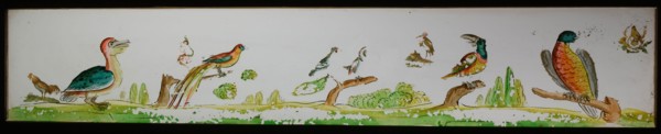 Hand-painted glass lantern plate in wooden frame, with bird species, slide slide slideshoot images glass wood, Hand-painted