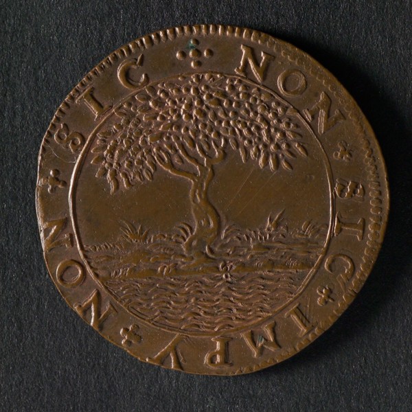 Medal on the prosperity in the Republic and in the East and West Indies, jeton utility medal medal exchange copper, fruit laden
