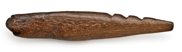 Legs pointed with three barbs, pointed harpoon soil found bone, sawn cut cut Late stone age archeology Maglemose culture