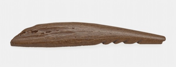 Large legs pointed with four barbs, pointed harpoon soil found bone, sawn cut cut Late stone age archeology Maglemose culture