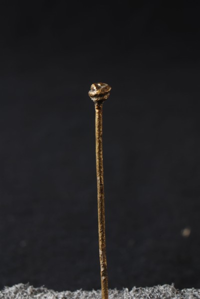 Pin with button of rolled metal wire, pin soil find copper brass metal, drawn wounded Long pin with button of wound copper wire
