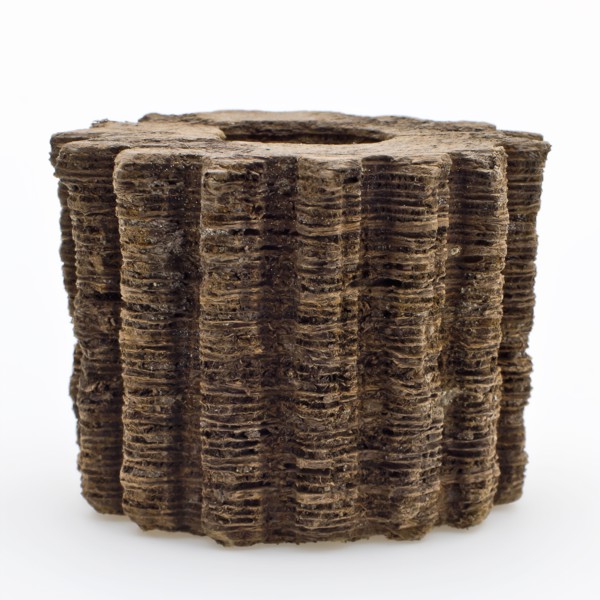 Wooden gear from drive of mill, gear part soil find wood, sawn drilled Wood gear from drive or transmission of grinder