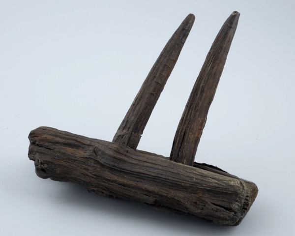Fragment wooden rake with two teeth, rake tool equipment soil find timber, sawn drilled cut cut Fragment of wooden rake. Head
