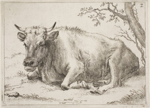 Cow Lying Down Beside a Tree, n.d., Paulus Potter, Dutch, 1625-1654, Holland, Etching on ivory laid