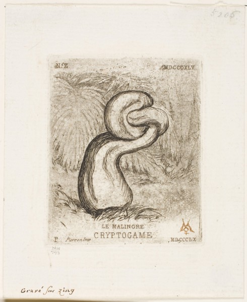 The Sickly Cryptogam, 1860, Charles Meryon (French, 1821-1868), printed by Pierron (French, 19th