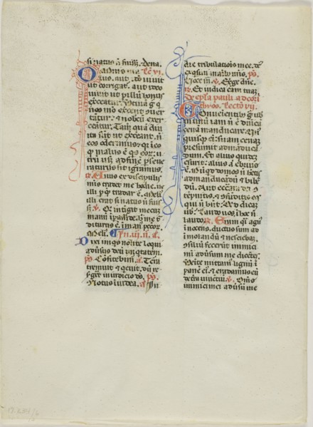 Illuminated Manuscript Leaf, c. 1450, Italian, Italy, Manuscript cutting with round gothic