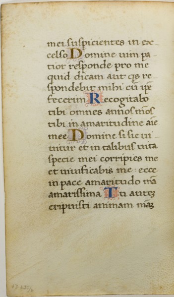 Illuminated Manuscript Leaf, c. 1450, Italian, Italy, Manuscript cutting with roman small letter