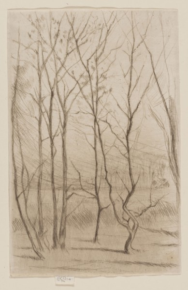 The Dam Wood, 1874/75, James McNeill Whistler, American, 1834-1903, United States, Drypoint in