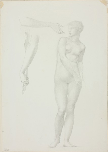 Standing Female Nude and Sketches of Arms, c. 1873–77, Sir Edward Burne-Jones, English, 1833-1898,