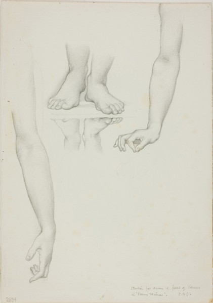 Study for Mirror of Venus: Arms and Feet of Venus, c. 1873–77, Sir Edward Burne-Jones, English,