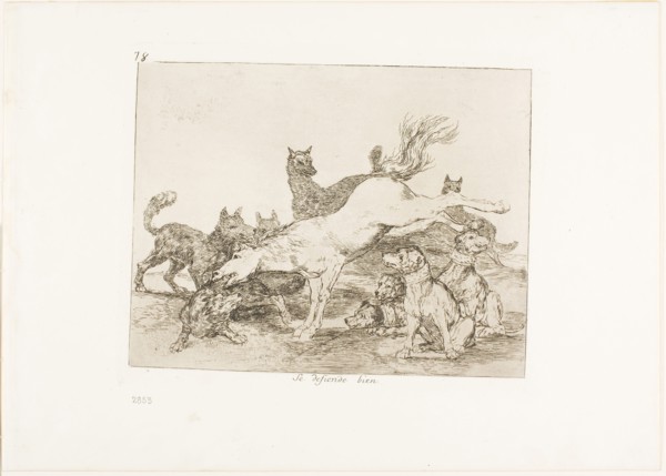 He defends himself well, plate 78 from The Disasters of War, 1815/20, published 1863, Francisco