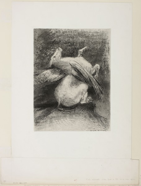 The Impotent Wing Did Not Lift the Animal Into That Black Space, plate 7 of 8 from Les Origines,