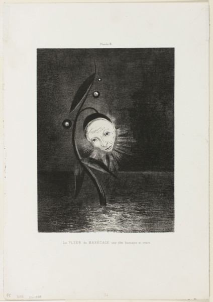 The Marsh Flower, a Sad Human Head, plate 2 of 6, 1885, Odilon Redon, French, 1840-1916, France,