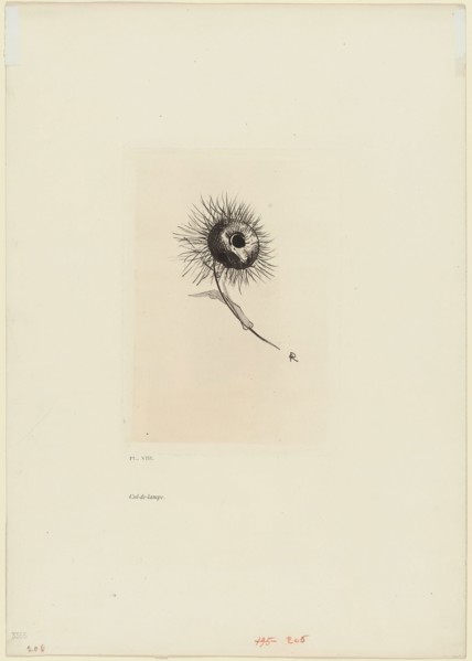 Tailpiece, plate 9 of 9, 1890, Odilon Redon, French, 1840-1916, France, Photogravure made from an