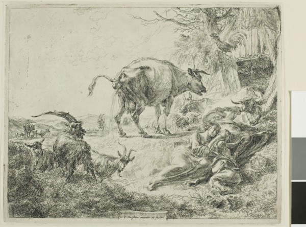 Cow Relieving Itself, 1635/1683, Nicolaes Berchem the Elder, Dutch, 1621/22-1683, Holland, Etching