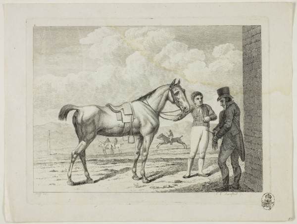 Riding School and Horses, 1806, Johann Adolph Darnstedt, German, 1769-1844, Germany, Etching on