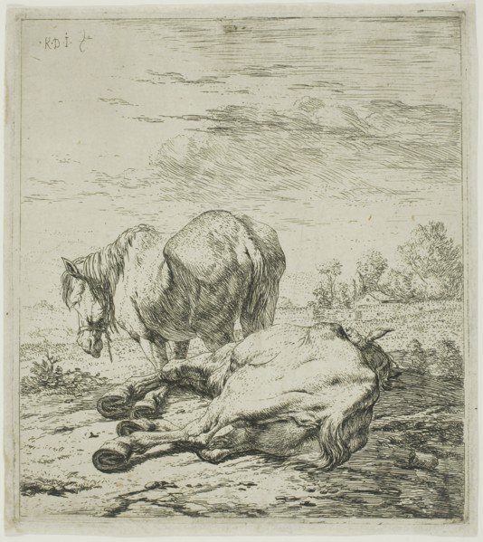 Two Horses, 1652–60, Karel Dujardin, Dutch, c. 1622-1678, Holland, Etching on paper, 150 x 136 mm