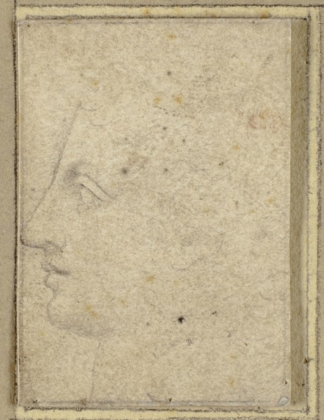 Head of a Youth in Profile to Left, n.d., Unknown Artist, Italian, early 16th century, Italy, Black