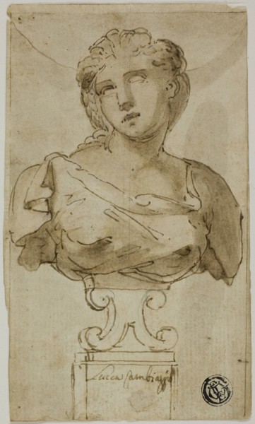Bust of a Woman, 1555-1565, Attributed to Luca Cambiaso, Italian, 1527-1585, Italy, Pen and brown