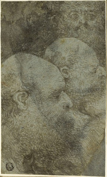 Three Bearded Male Heads, Two in Profile to the Right, n.d., Circle of Bernardino Lanino, Italian,