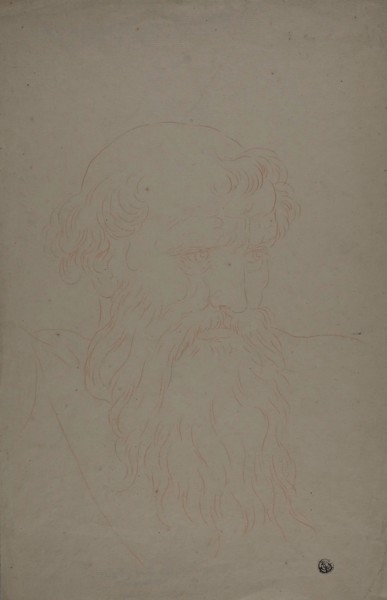 Head of a Bearded Man, 1700/1799, After Raffaello Sanzio, called Raphael, Italian, 1483-1520,