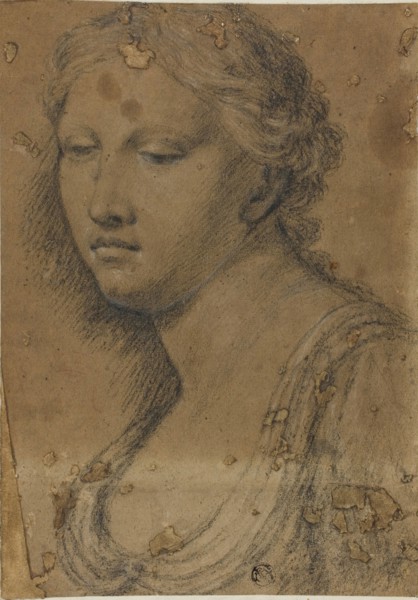 Bust of Woman, n.d., Attributed to Girolamo Sellari, called Girolamo da Carpi, Italian, 1501-1556,