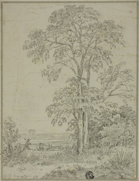 Landscape with Tree, Man, and Cows, August 7, 1765, Attributed to Sir George Howland Beaumont,