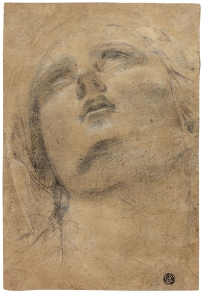 Head of the Virgin Looking Upwards, c. 1615, Jacopo Cavedone, Italian, 1577-1660, Italy, Black