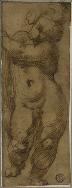 Standing Putto Seen from the Front: Study for the Virgin in Glory with Saints Petronius, Dominic,