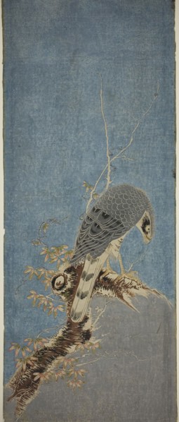Falcon Perched on a Tree, c. 1785, Attributed to Isoda Koryusai, Japanese, 1735-1790, Japan,